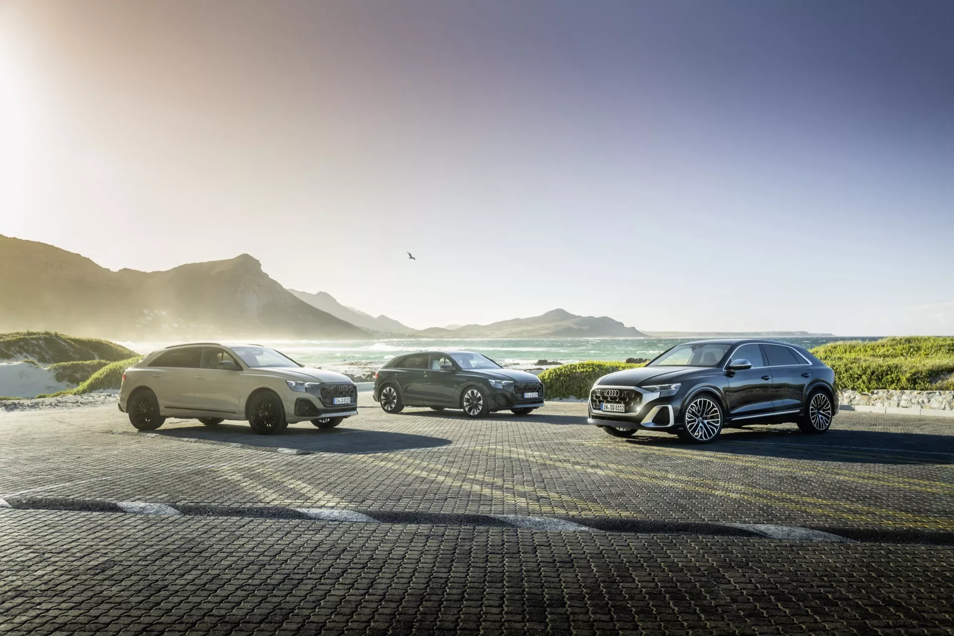 2023 Audi Q8 (4M-Facelift) modeller linjerade i förskjuten formation på kullerstensliknande yta vid havet i soluppgång, visar framdesigner, hjuldetaljer och ljuseffekter