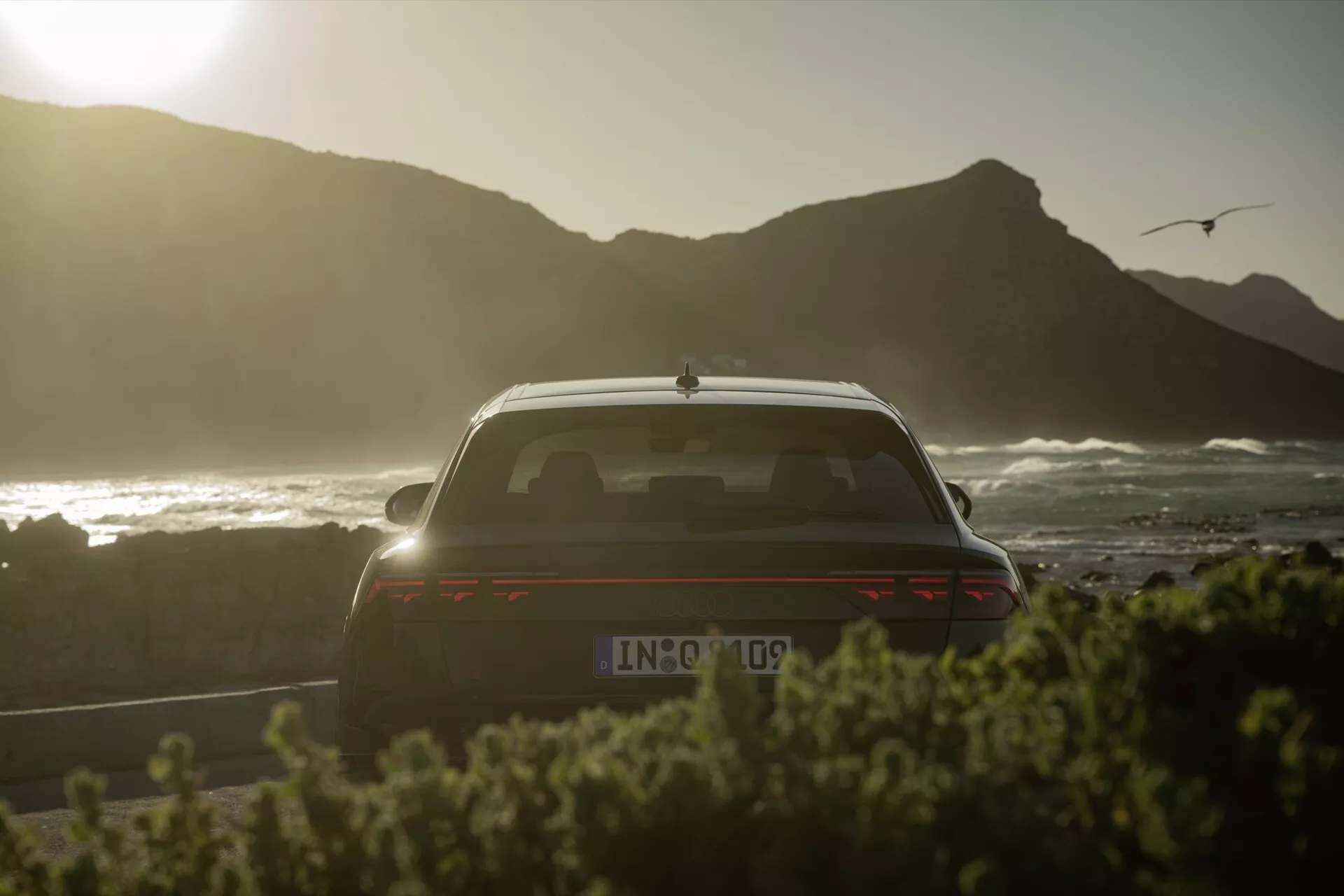 Bakvy av Audi Q8 2023 (4M-Facelift) med fokus på bakluckan, bakfönstret, en del av taket med solnedgångssiluett, kustbakgrund med fiskmås, spoiler, upplysta horisontella bakljus, potentiell backkamera och hajfensantenn
