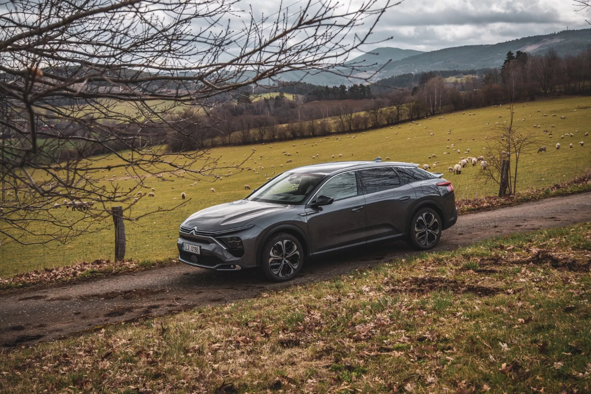 Citroen C5-X 2022 parkerad diagonalt i ett lantligt landskap med en gräsmatta och träd, visar sin höjda crossoverdesign, skarpa karosslinjer, mörk färg, legeringshjul och LED-strålkastare