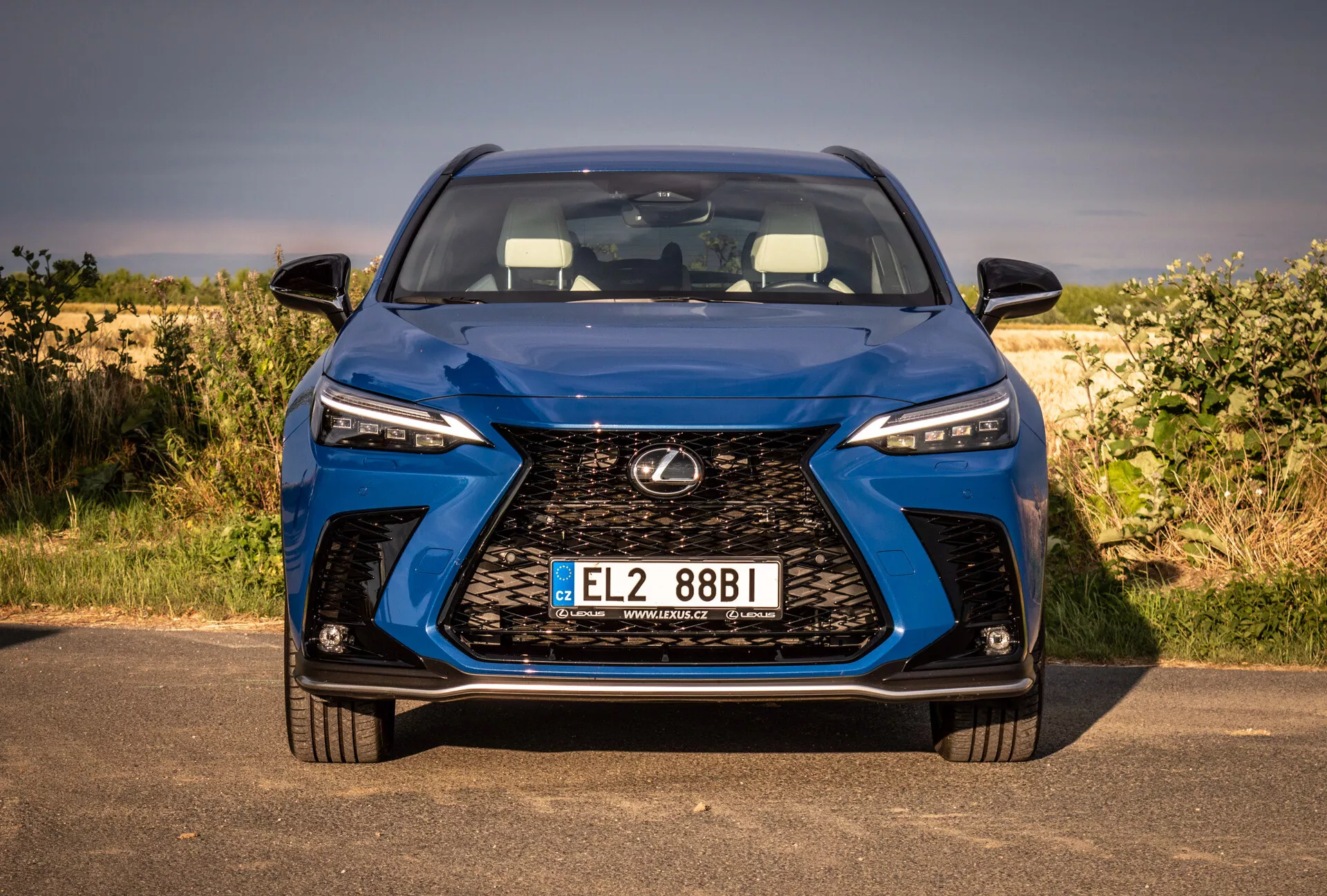 Närbild på frontvy av Lexus NX 2021 som visar stor grill, LED-strålkastare och registreringsskylt, med fokus på design och teknik i en naturlig miljö.