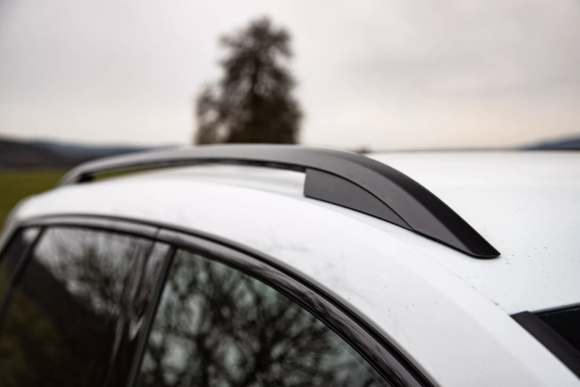 Närbild av en Skoda Karoq 2021 som visar takspoilern, vitt tak med ett panoramatakfönster och integrerade takräcken mot en bakgrund av ett träd och mulet himmel, betonar fordonets aerodynamiska design, lyxfunktioner och användbarhetsfunktioner.