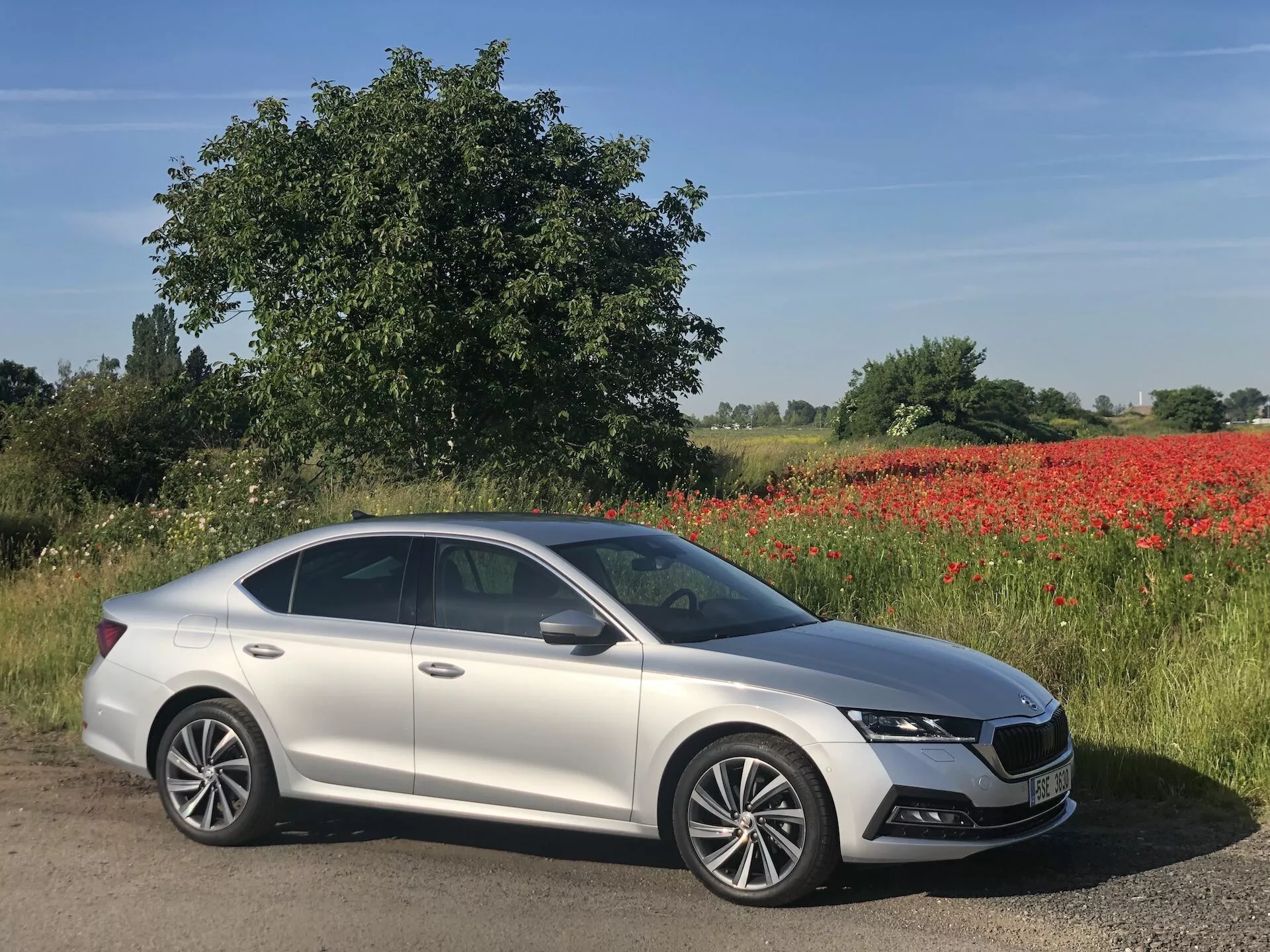 Bild av en silverfärgad Skoda Octavia 2020, parkerad diagonalt vid vägkanten sedd från en sned framvinkel, som visar modern design, strömlinjeformade konturer, framträdande grill, LED-strålkastare, dagsljus, flerspokedesignade lättmetallfälgar, soltak, karossfärgade sidobackspeglar med integrerade blinkers och kromdetaljer. Bakgrunden visar ett grönt landskap med röda vallmo och klarblå himmel, vilket tyder på en lantlig miljö på en solig dag.