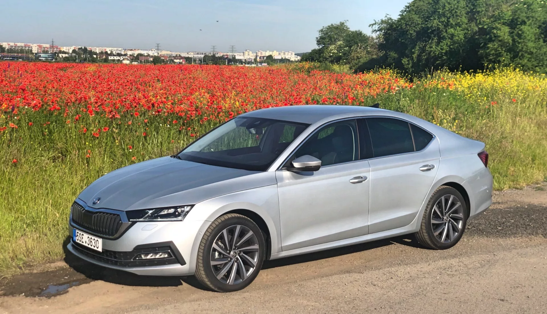 Bild av en Skoda Octavia 2020 sedan i ljus silver metallic, parkerad på en markbit bredvid ett fält av röda blommor, möjligen vallmo, under en klar himmel. Fotot fångar hela bilens profil från en sidovinkel, vilket betonar dess rena, moderna design och blanka yta. Synliga egenskaper inkluderar en framträdande axellinje, eleganta sidospeglar med integrerade blinkers, färgmatchade dörrhandtag, flerspikade lättmetallfälgar, smala LED-strålkastare och en delvis synlig grill med ett stort centralt emblem inramat av krom- eller silveraccenter. De bakre lysena sveper runt de bakre kvartspanelerna och bilens fönster har en lätt ton. Bilden visar fordonets profil mot en pittoresk naturlig bakgrund och framhäver dess moderna estetik.