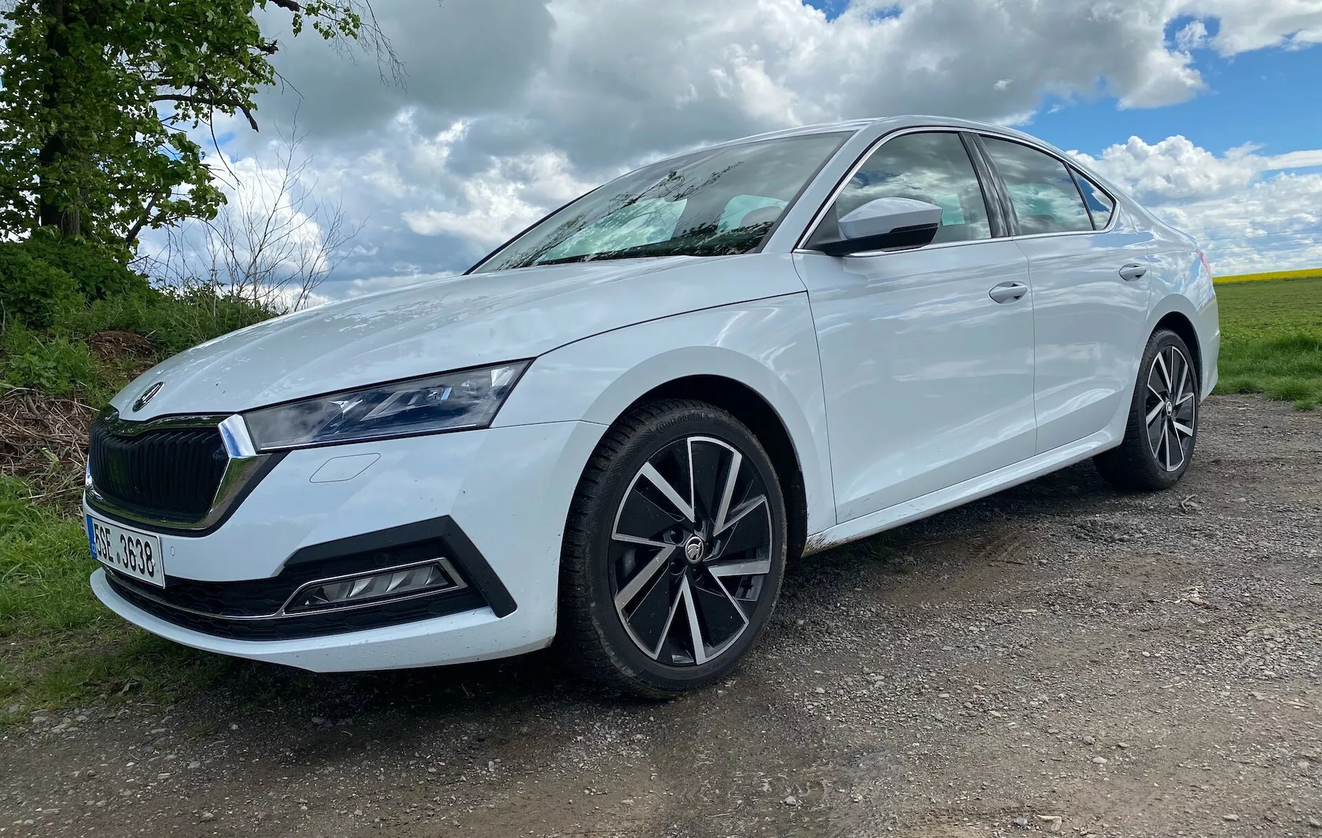Denna bild visar en 2020 Skoda Octavia limousine sedd från en låg frontvinkel med tre fjärdedelar, vilket framhäver dess grill, strålkastare och framhjulsdesign. Fotot är taget från marknivå för att betona bilens hållning och få den att verka mer imponerande. Bilden visar fordonets vänstra sida från en något sned framvinkel, vilket ger en glimt av dess front och sidoprofil. Den vita sedanen är fotograferad i dagsljus mot en lantlig bakgrund med vegetation och en delvis molnig himmel mitt på dagen. Den eleganta strålkastarutformningen med LED-dagsljusrampor, den distinkta grillen med märkesemblem, de flerfälgade lättmetallhjulen och sidospeglarna med integrerade indikatorer är tydligt synliga, tillsammans med detaljer som tyder på luftintag eller säkerhetssensorer på främre stötfångaren. Bilen verkar ny eller väl underhållen med lätt tonade rutor och en ren finish, lämplig för försäljningslistor eller bilrecensioner.