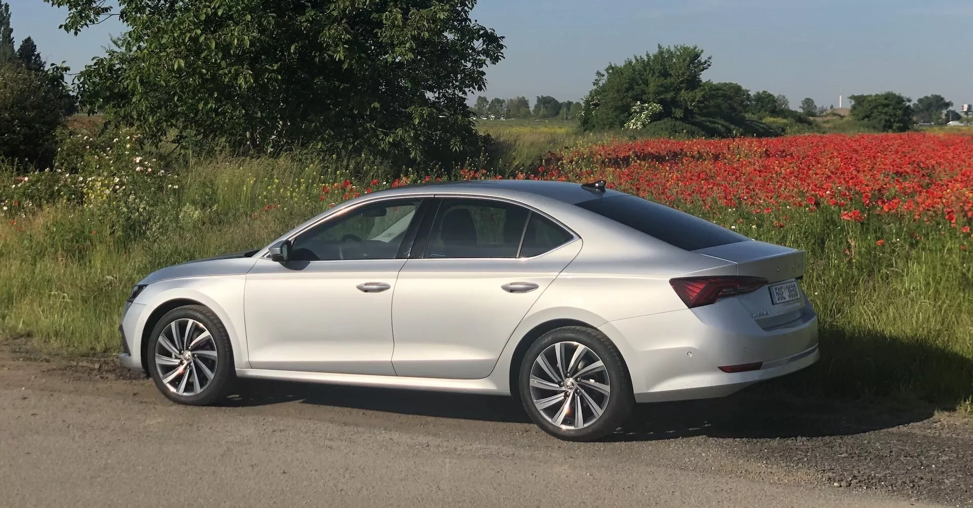 Sido profilvy av en 2020 Skoda Octavia sedan i silver, parkerad vid en grusväg med ett fält och träd i bakgrunden. Bilen har en elegant sluttande taklinje som övergår i en kort baklucka, vilket är kännetecknande för en modern sedan. Den har fyra dörrar, kroppsfärgade sidospeglar och kromlister runt fönstren. Hjulene är alloy med en fler-ekrad design, och dörrhandtagen är också kroppsfärgade. En lätt veck löper längs sidan, vilket förstärker bilens dynamiska utseende. Sidospegelsensorer kan indikera blind-spot övervakningsteknologi. Miljön omfattar en livfull fläck av röda blommor, möjligen vallmo.